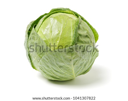 cabbage on white background Royalty-Free Stock Photo #1041307822
