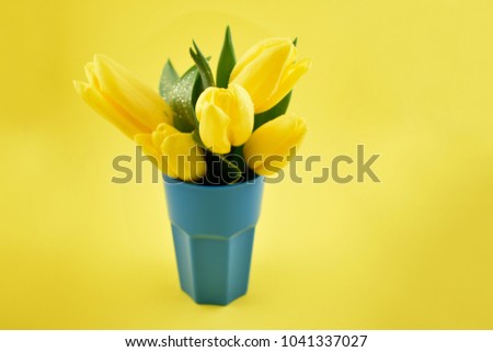 Yellow tulips in blue vase stock images. Yellow tulips on yellow background. Spring floral decoration. Spring background concept. Yellow tulips bouquet in vase
