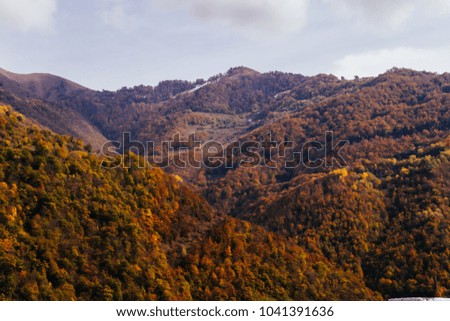 autumn forest against the backdrop of high mountains