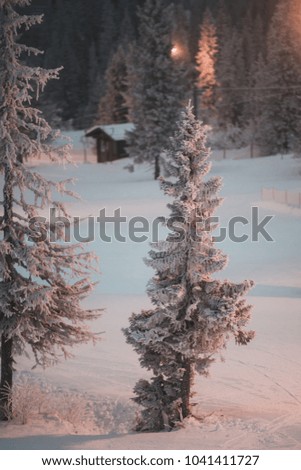 Sunrise morning panorama of the mountain trees. Bright white winter landscape in the snowy wood, Happy celebration atmosphere. Artistic style post processed photo.