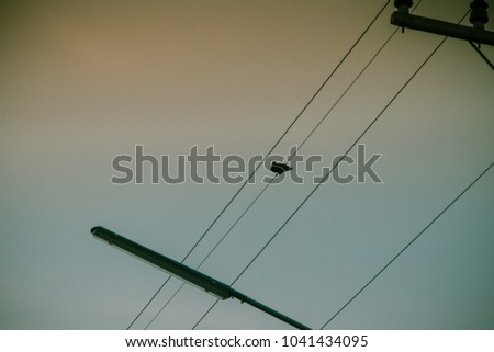 silhouette electric pole and sunset time