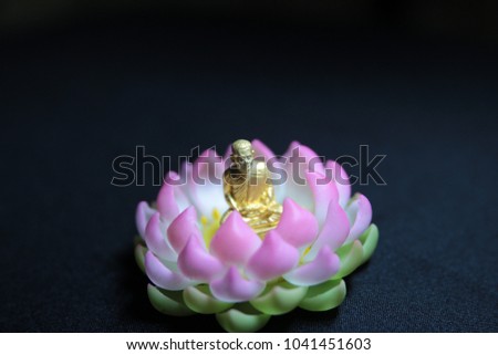 Akadama Soil  Clay flowers  Miniature lotus home handmade amazing  Thailand 