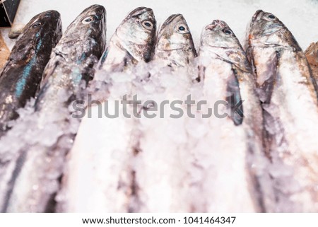 fish placed on fish shop
