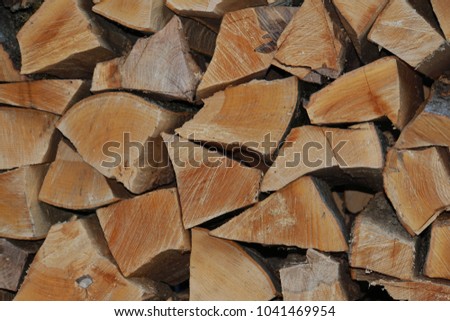 Close-up stacked in a woodpile trimmed logs from the tree of Caucasian Fagus orientalis beech oriental with a visible part of the brown wood structure prepared for rest                              