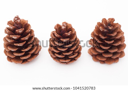 Pine cones on white background.