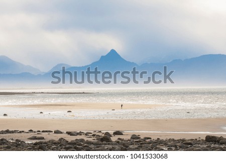 Typical beach in Alaska near Homer. With mountains in the background in sunshine, at low tide. 