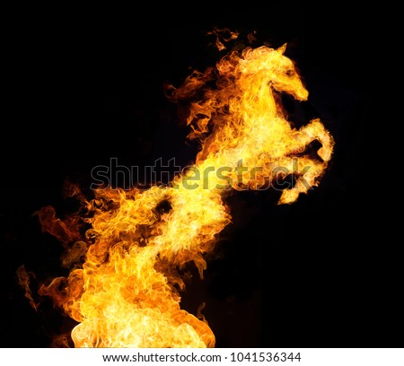 bonfire tranform to horse. Royalty-Free Stock Photo #1041536344