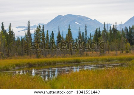 Alaskan landscape with lake in the picture.  Boreal vegetation with clouds in bad weather.