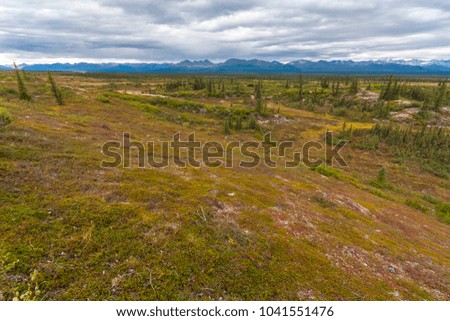 Alaskan landscape with lake in the picture.  Boreal vegetation with clouds in bad weather.