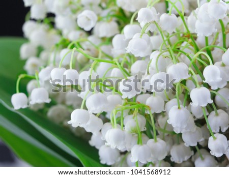 Green-muguet bouquet. White flowers bouquet. Bouquet of white lilies on black background. Bouquet of wildflowers lily of the valley. Spring floral background. Floral background. Selective focus. Royalty-Free Stock Photo #1041568912