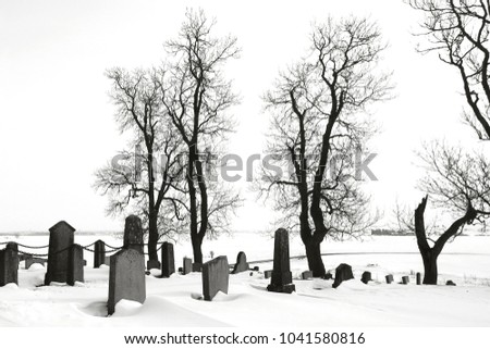 Abandoned graveyard dressed in snow with bare trees a foggy cold winter day, in black and white tones.