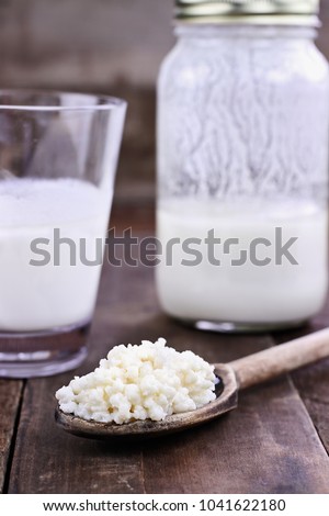 Fresh Kefir grains and milk. Kefir is one of the top health foods available providing powerful probiotics.  It is cultures of yeast and bacteria use to make a fermented milk product.