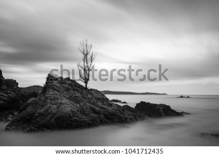 black and white sea scape by slow sutter.