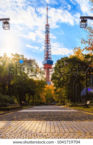 Tokyo tower view from Shiba Park 