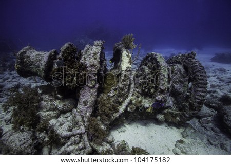 Winch on Molasses Reef in Key Largo, Florida