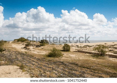 sea landscape with sand dunes, green bushes and grass, blue sky, white clouds, summer, sunny day