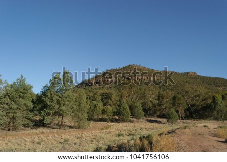 a hill in a rural paddock with many trees below and a walking track on a sunny day with no clouds in the sky