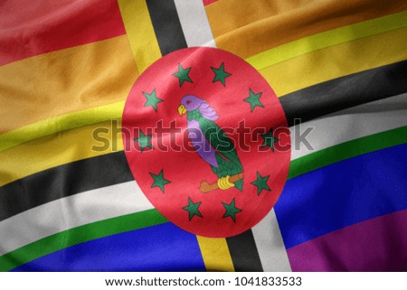 waving dominica colorful rainbow gay pride flag banner