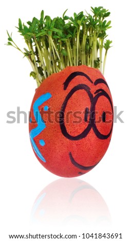 Easter egg painted in a funny smiley  guy face and colored in patterns with cress like hair. The watercress stylized for the hairstyle of the character. Egg in red and blue colors on a white backgroun