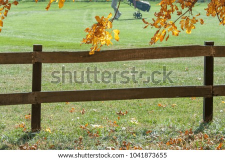 Sun shining down on fenced in autumn colored trees