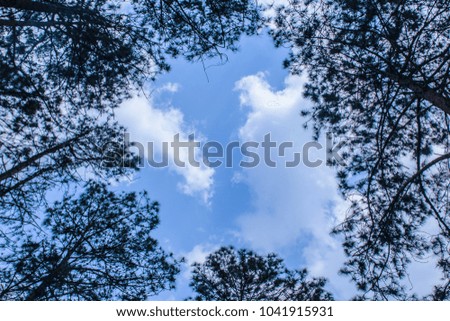 silhouette trees around edge with blue sky and cloud in center for background advertisement
