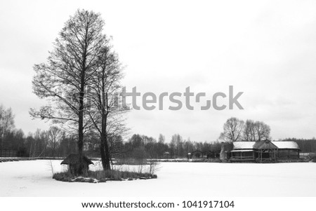 black and white picture of a picturesque frozen lake, a lonely tree in the middle of it, and a lonely wooden hut in the background