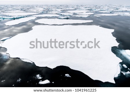 Ice landcape on the water in Arctic