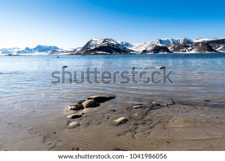 Nature of the Amsterdam Island, a small island near the  coast of West-Spitsbergen