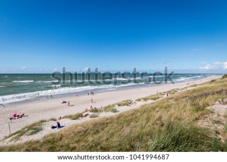 Seascape with sandy beach, green sea, blue sky, white clouds
