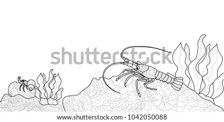 Anti stress crawfish coloring book for adults. Crustacean on the bottom of the river. Cancer or shrimp. Vector illustration of black lines, white background