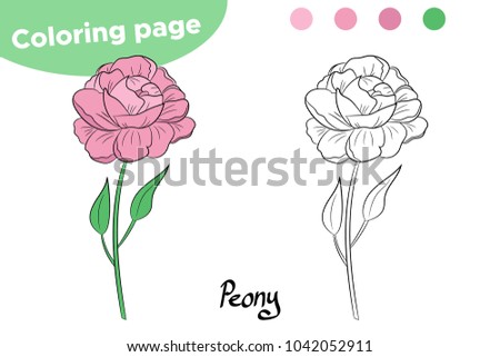 Coloring page for kids. Spring flower Peony. Hand drawn. Vector illustration