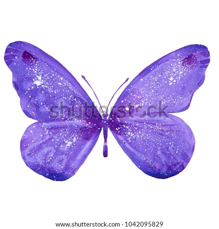 purple lovely butterfly, watercolor illustration  on white background
