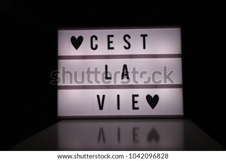 C’est La Vie Light Up Sign (It’s Life)