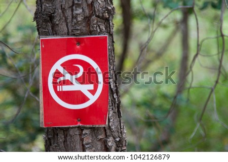A red sign with a crossed smoking cigarette (smoking is forbidden) is nailed to the trunk of a tree