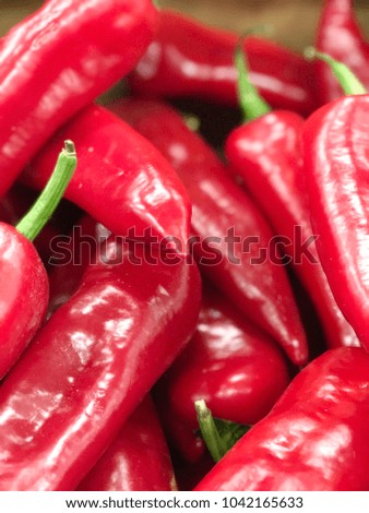 red pepper harvest. many red peppeprs for food textures. red pepper pattern 
