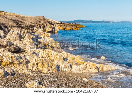 rocky beach and seaweed on the beach