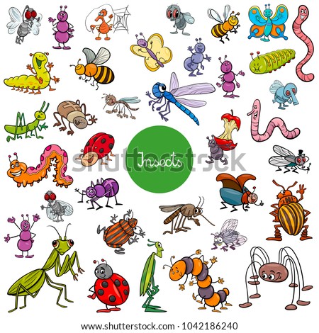 Cartoon Illustration of Insects Animal Characters Large Set