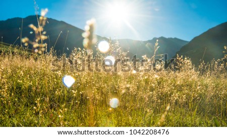 sun is coming up from over the hill, lighting up an lake down in valley.Grass,rocks and mountains also featured in the picture.green field, mountains and cloudy sky sunset. Beautiful landscape, grass