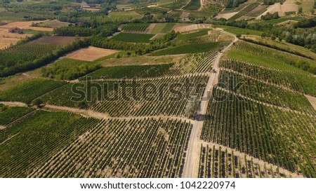Drone photography of a vineyard (Monferrato, Piedmont, Italy).