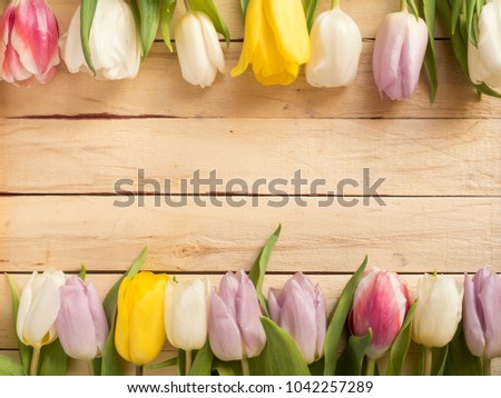 Frame of multicolored tulips on wooden background.