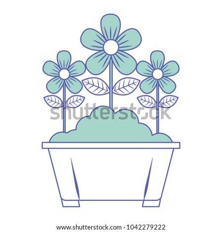 potted flowers natural decoration leaves plant