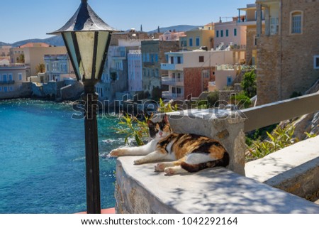 Scenic view with street cats in the narrow streets of Ermoupolis, Syros island, Greece, Europe.