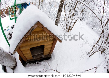 doghouse under the snow