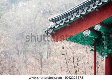 Landscape in winter with roof of temple falling snow in korea