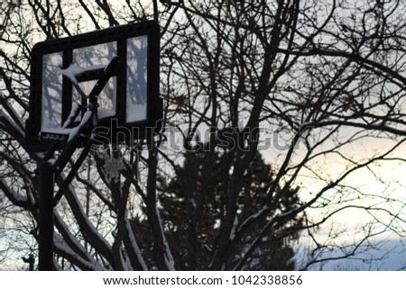 Winter snow basketball hoop and winter trees at sunset. 