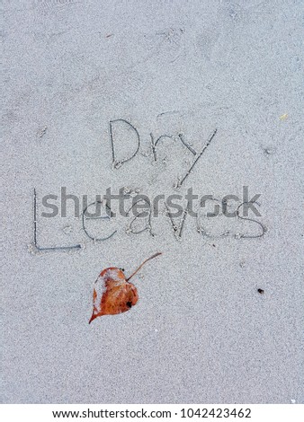 
Dry leaves and handwritten "dry leaves "on sand beach