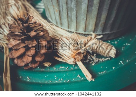 Group of pinecone fall from pine tree in forest, pine cone is symbol of Christmas season and also is Xmas ornament, ground cover with pine needle.