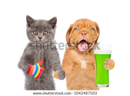 St Patrick's Day concept. Cat and dog with a glass of green beer showing thumbs up. isolated on white background