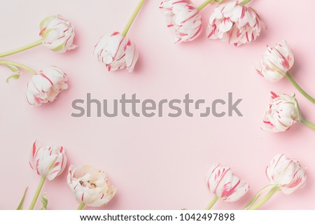 Spring morning concept. Flat-lay of flowers over light pink background, top view with space for your text