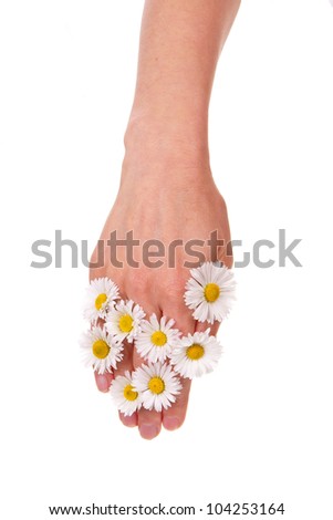 Woman's hand with daisies isolated on white background